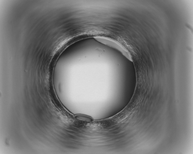 X0000096980440200802221438