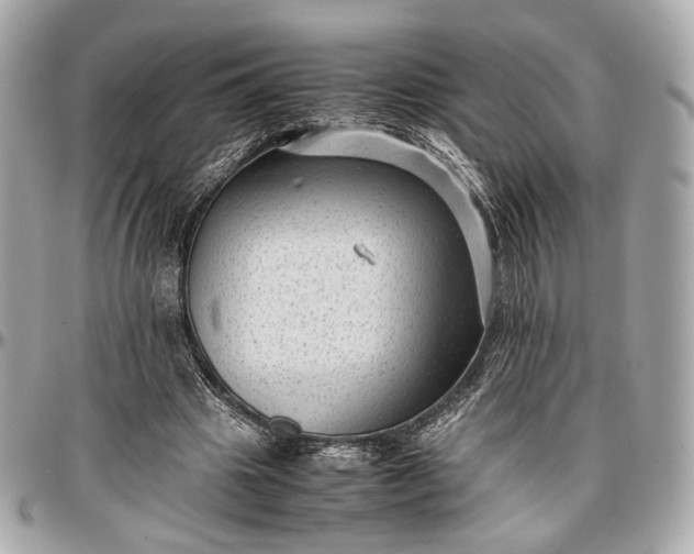 X0000096980441200802221438