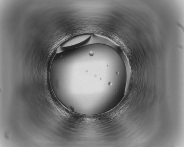 X0000096980442200802221438