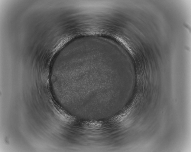 X0000096980443200802221438