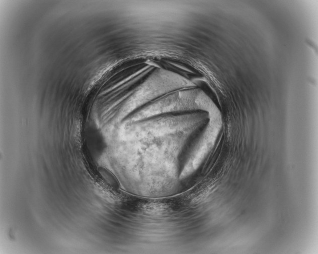 X0000096980444200802221438