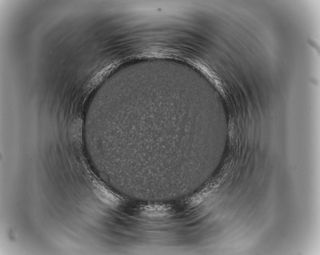 X0000096980445200802221438