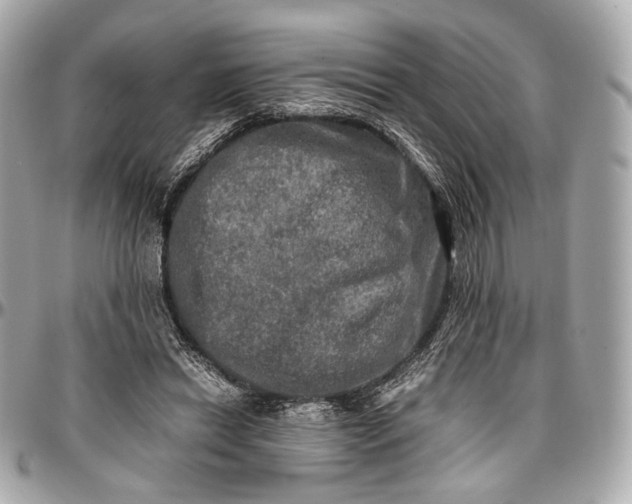 X0000096980446200802221438