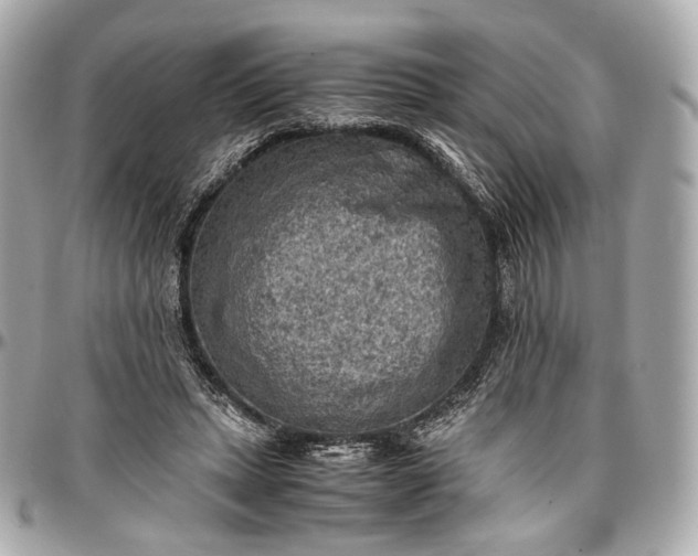 X0000096980447200802221438