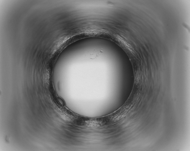 X0000096980448200802221438