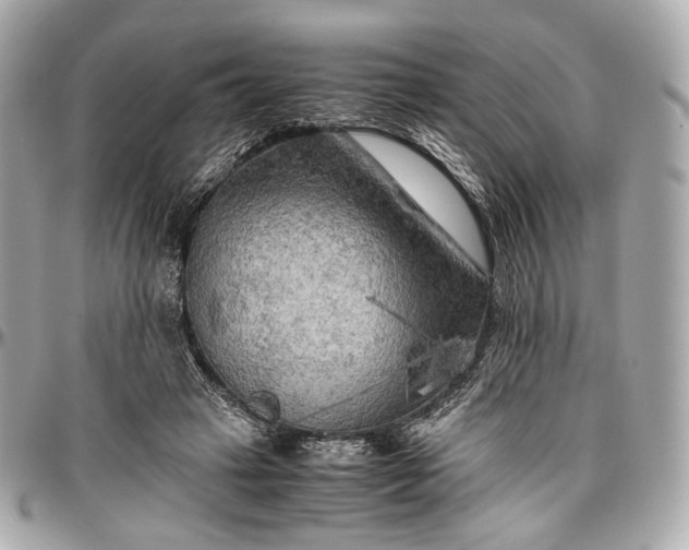 X0000096980449200802221438