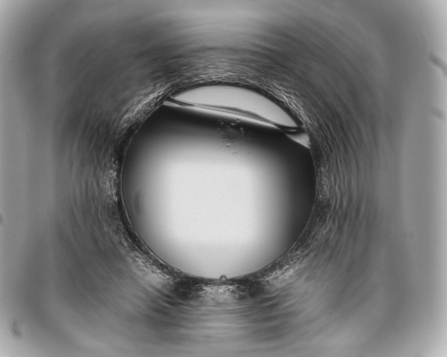 X0000096980450200802221438