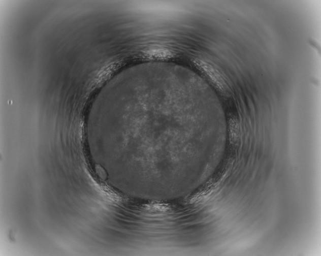 X0000096980451200802221438