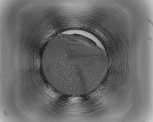 X0000096980452200802221438