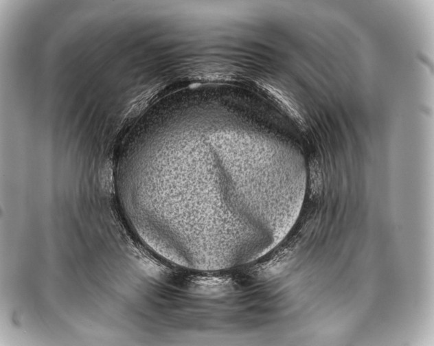 X0000096980453200802221438