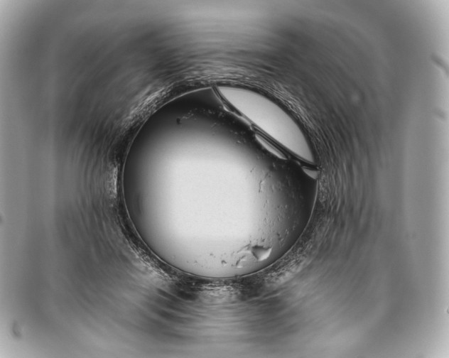 X0000096980454200802221438