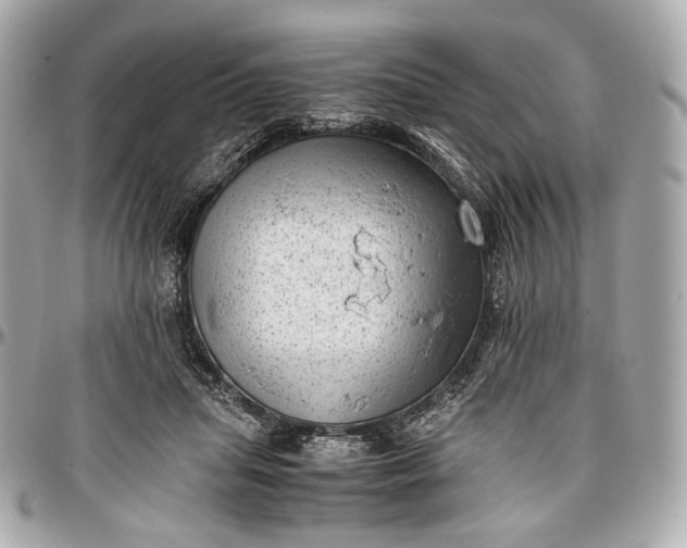 X0000096980455200802221438