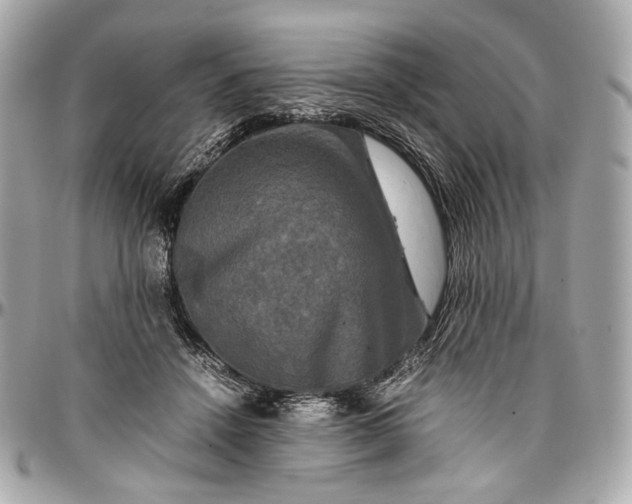 X0000096980456200802221438