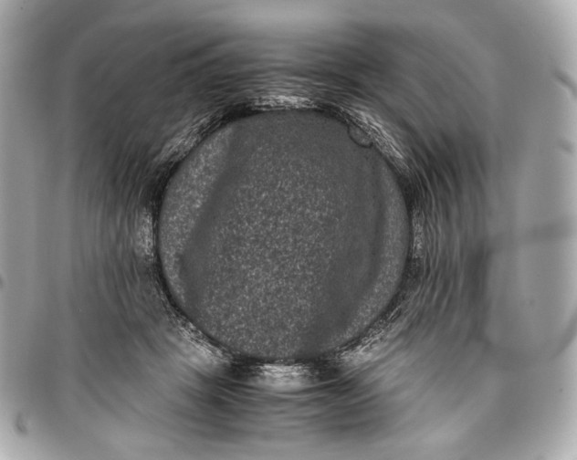 X0000096980457200802221438