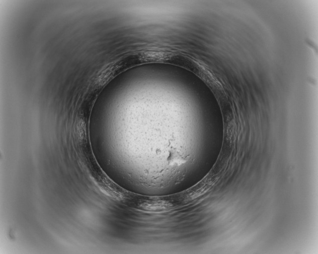 X0000096980459200802221438