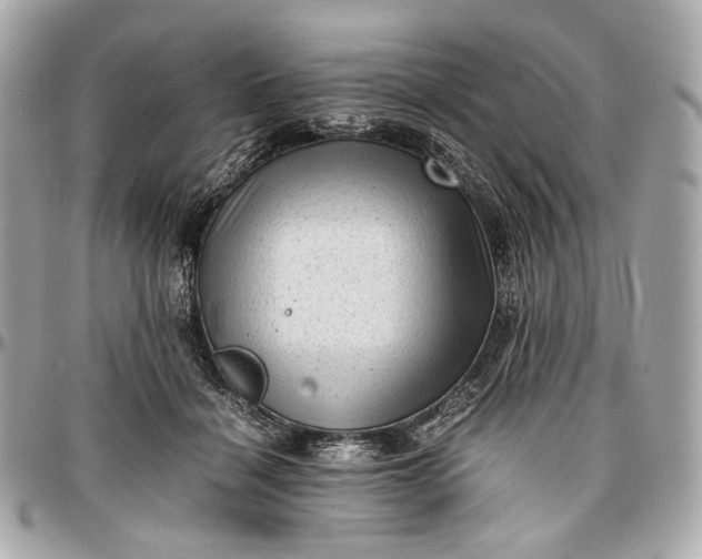 X0000096980460200802221438