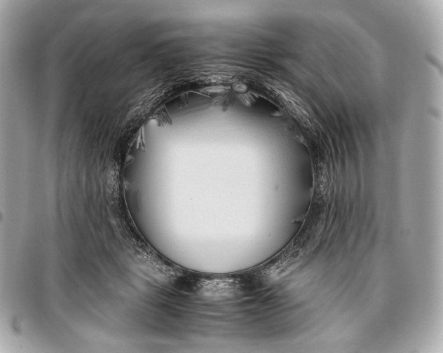 X0000096980461200802221438