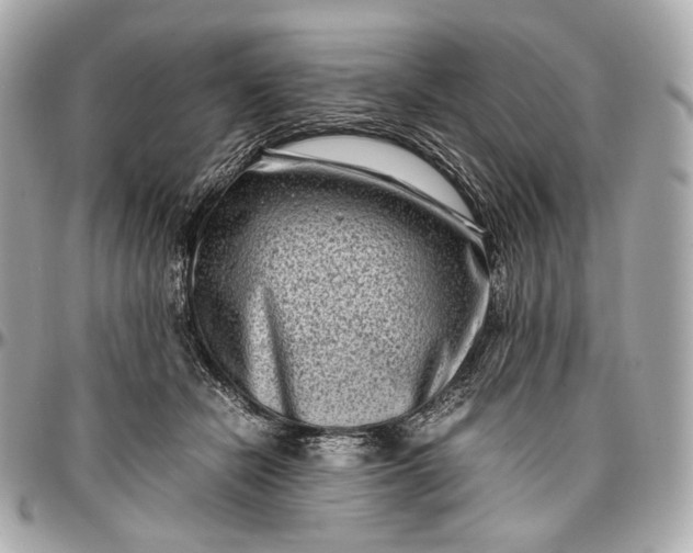 X0000096980462200802221438