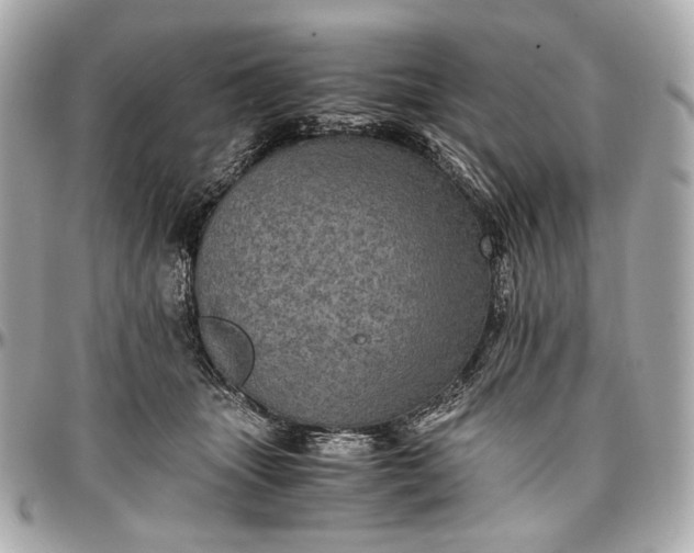 X0000096980463200802221438