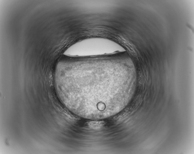 X0000096980465200802221438