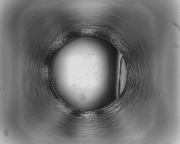 X0000096980466200802221438