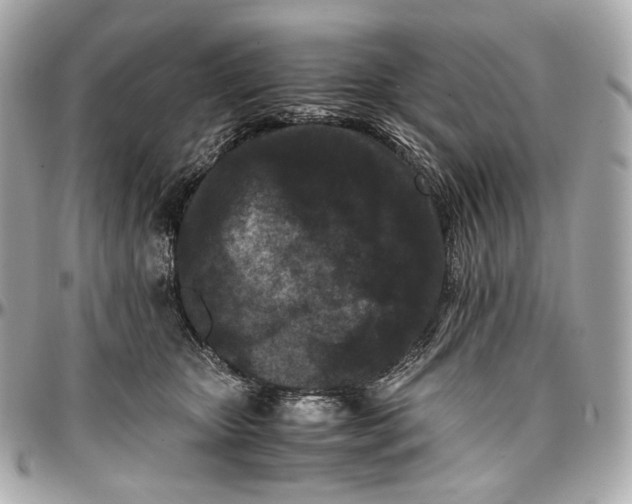 X0000096980467200802221438