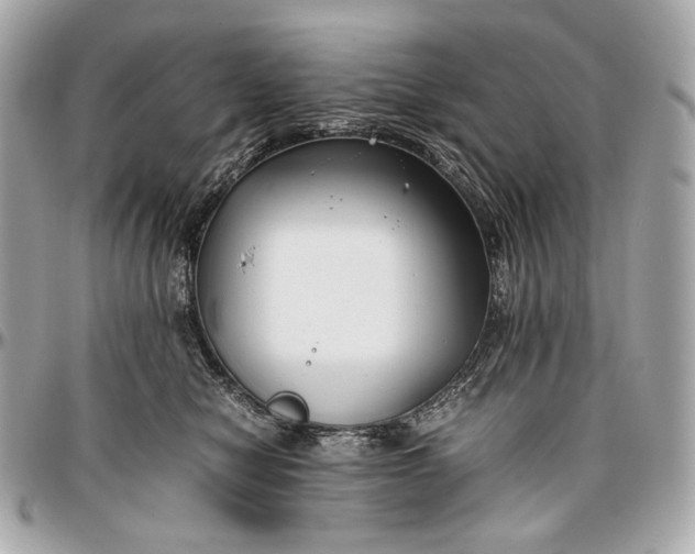 X0000096980470200802221438