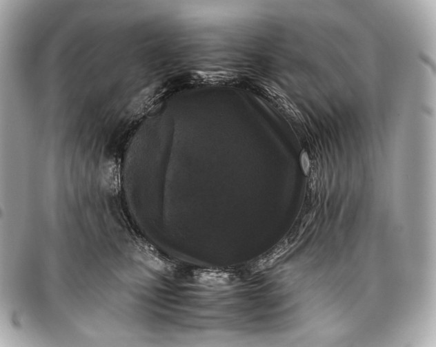 X0000096980471200802221438