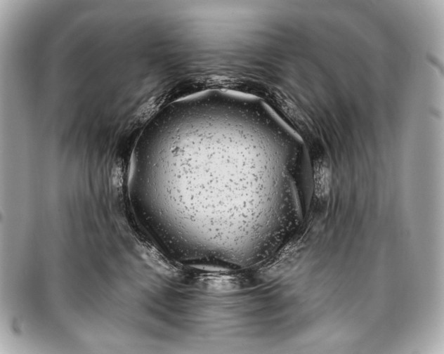 X0000096980472200802221438