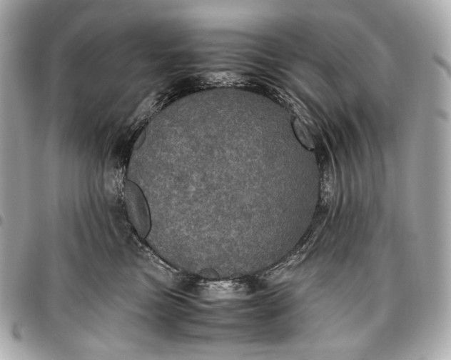 X0000096980473200802221438