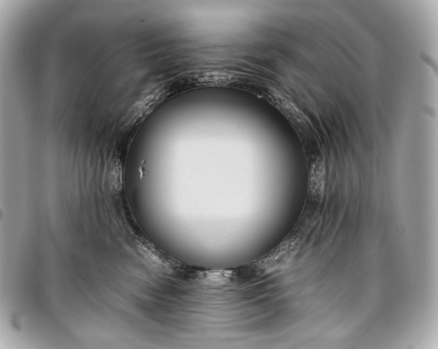 X0000096980474200802221438