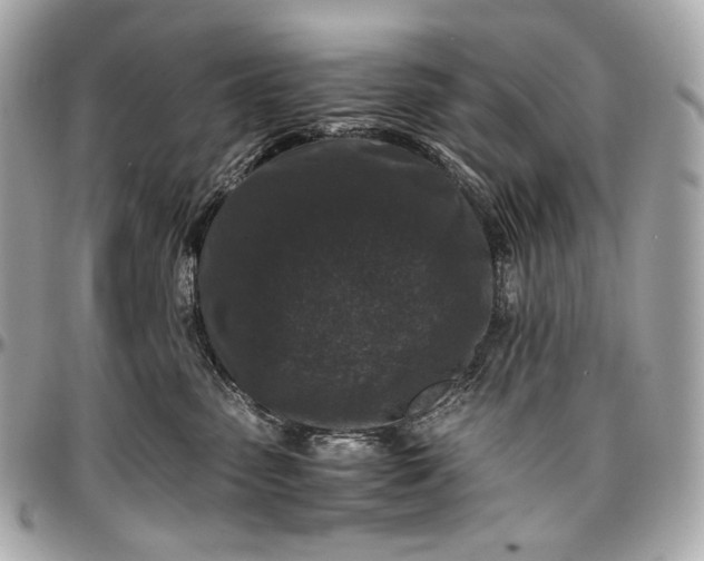 X0000096980475200802221438