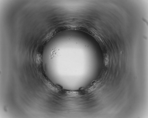 X0000096980476200802221438