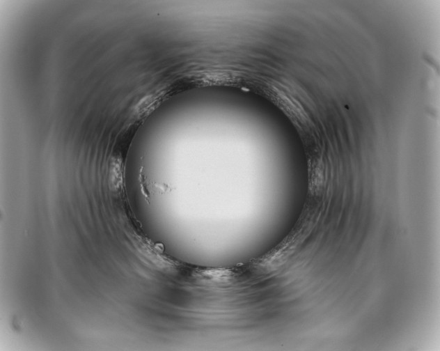 X0000096980478200802221438