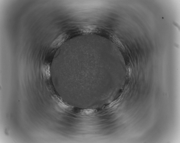 X0000096980479200802221438