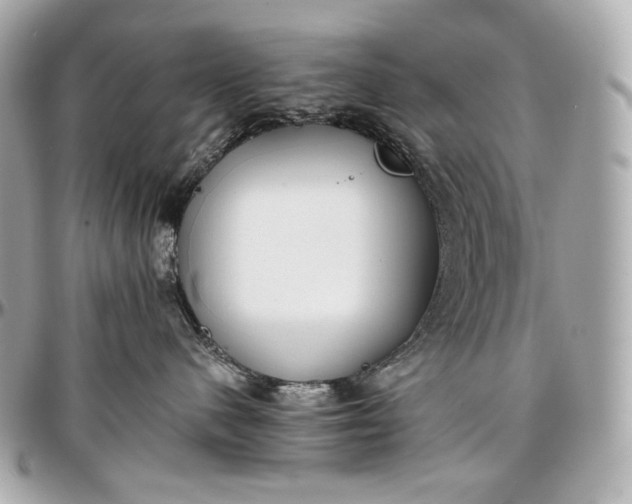 X0000096980480200802221438