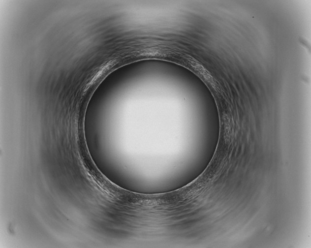 X0000096980482200802221438