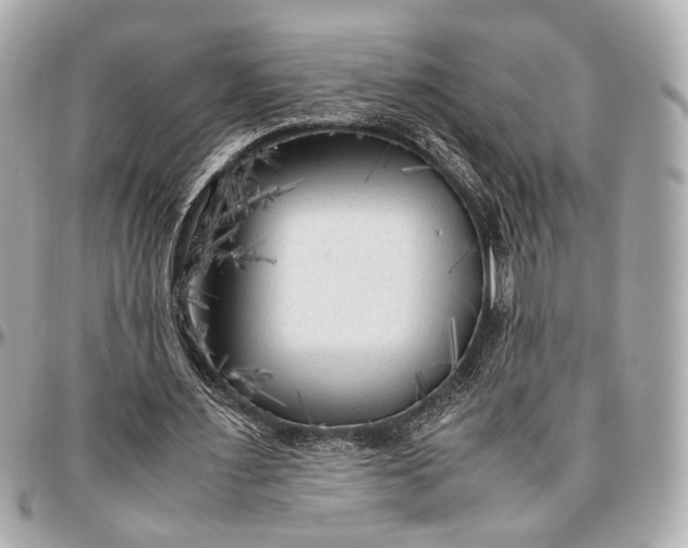 X0000096980483200802221438