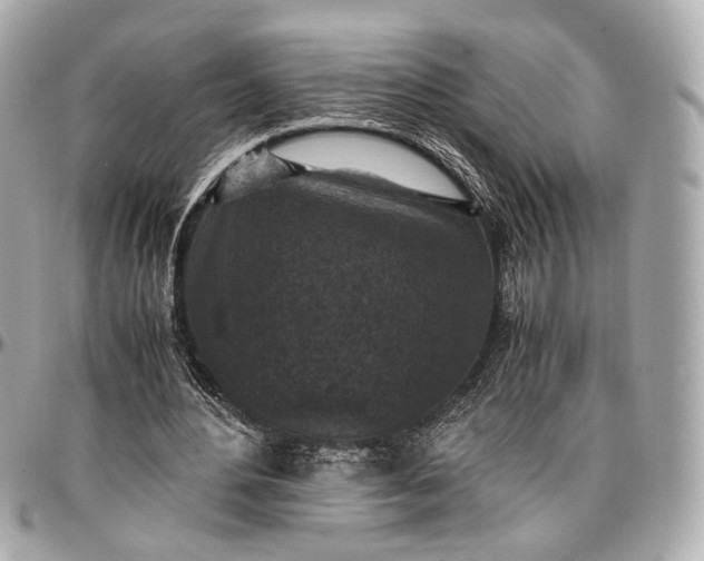 X0000096980484200802221438