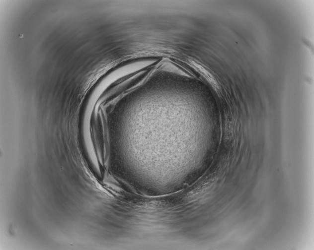 X0000096980485200802221438