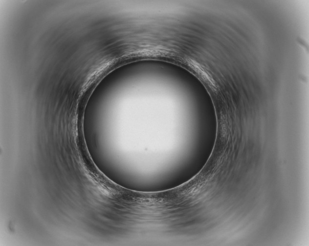 X0000096980486200802221438