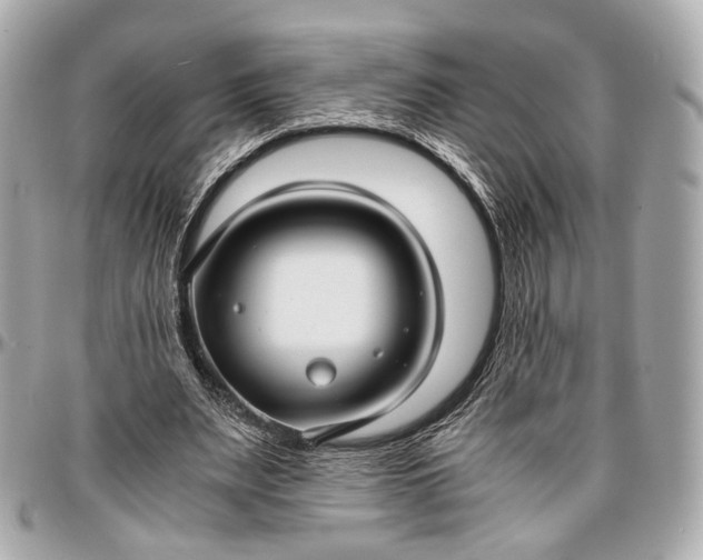 X0000096980487200802221438