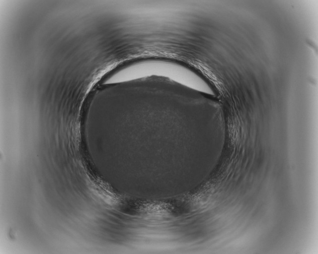 X0000096980488200802221438