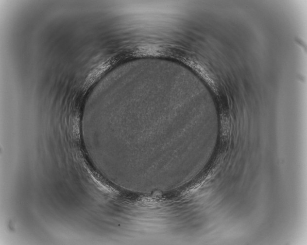 X0000096980489200802221438