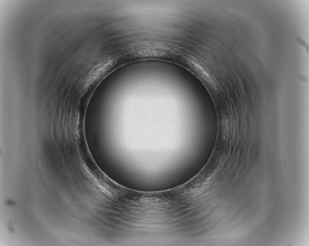 X0000096980490200802221438