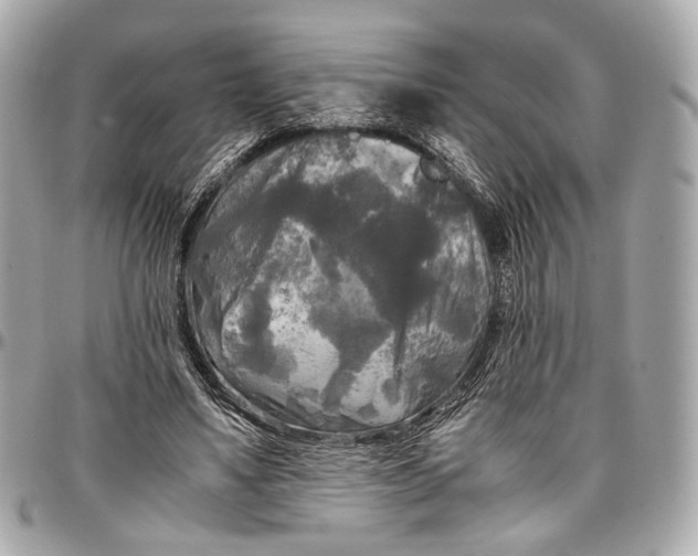 X0000096980491200802221438