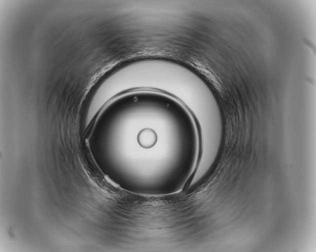 X0000096980492200802221438