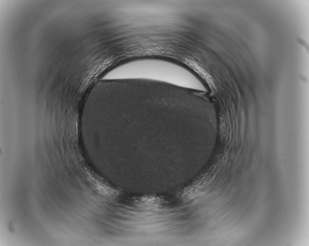 X0000096980493200802221438