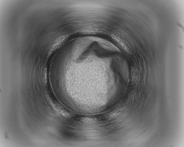 X0000096980494200802221438