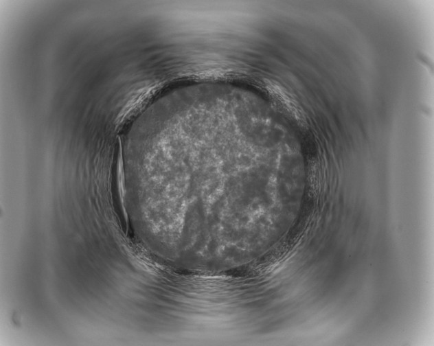 X0000096980495200802221438